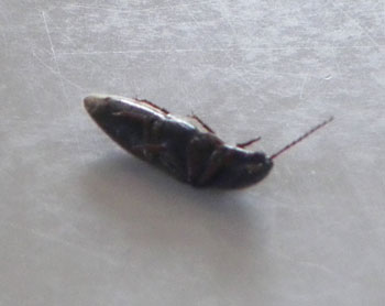 もうちょっと。