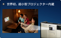 ワカシがブリになるぞ!