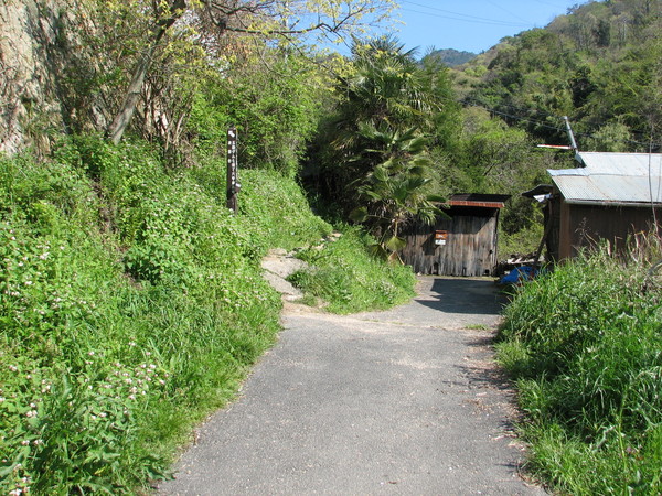 六甲　住吉道