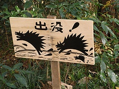 うろうろ散歩(南高尾)