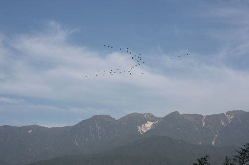 いなかの風