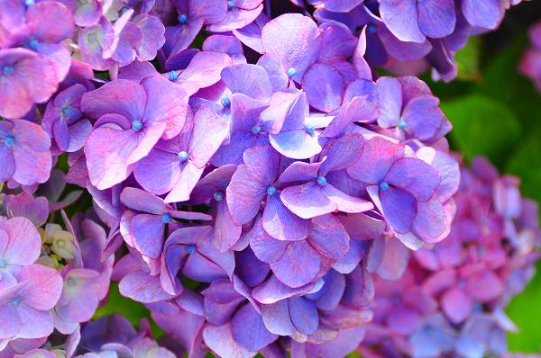 弾丸襲撃!那須~いざ!「出会いの森」編♪