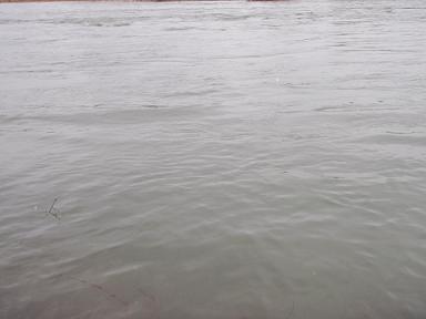 増水、午後から雨