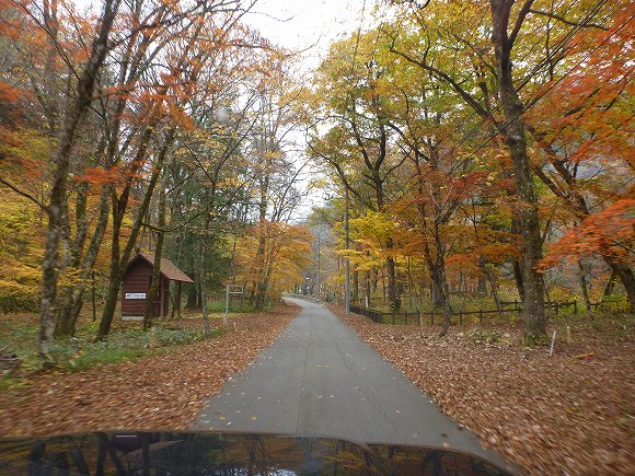 紅葉!!! カオレ~せせらぎ街道~飛騨高山へ