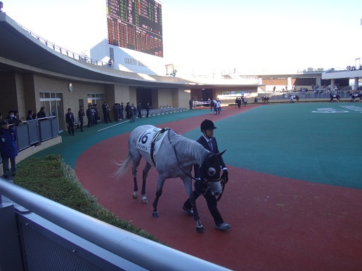 中京競馬場で観戦