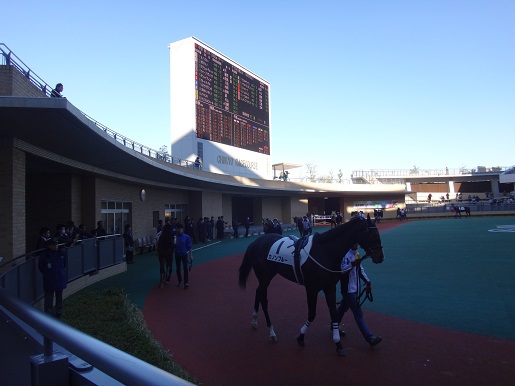 中京競馬場で観戦