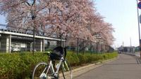 自転車通勤