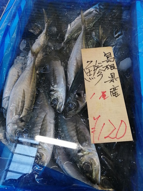 今週も朝一　南部市場に買いだし行ってきた