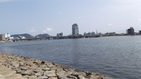 ハゼ釣り大会