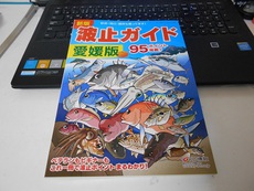 ようやく買えた　波止ガイド愛媛版