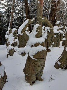 雲辺寺に登ってきた