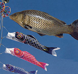 【釣行】ちっとも釣れないジャマイカ