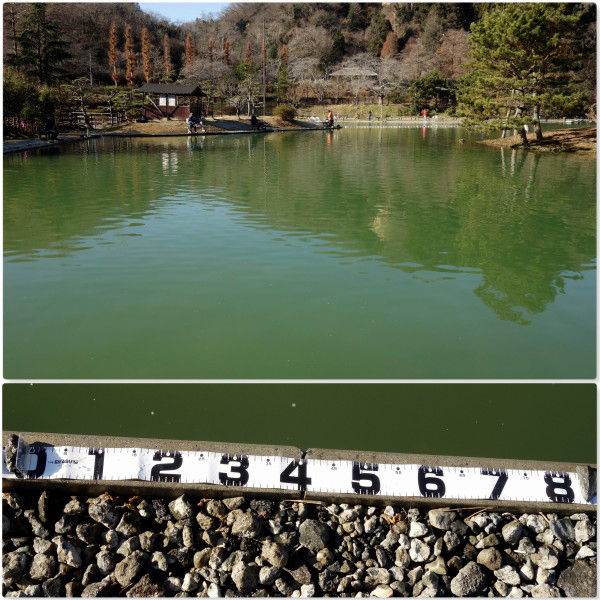 本日の釣り座から…