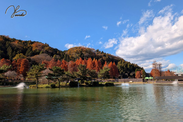 秋川湖