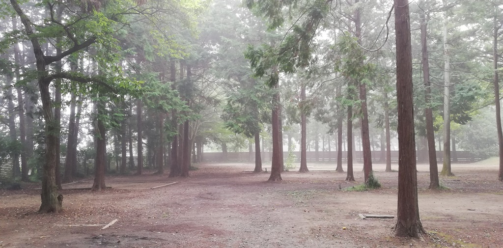 【ソロキャンプ】フォンテーヌの森キャンプ場 （19年9月5・6日）