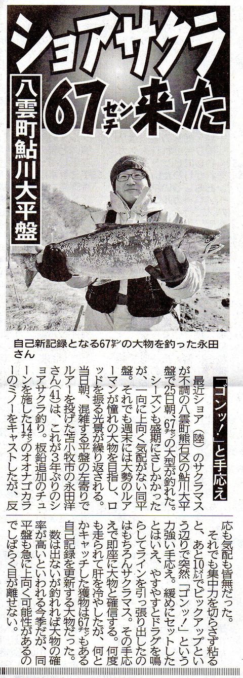 ショアサクラ 67センチ来た 道スポ