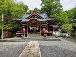 管釣りとリールいじりの日記:富士の(神玉)ドラゴンボール集め