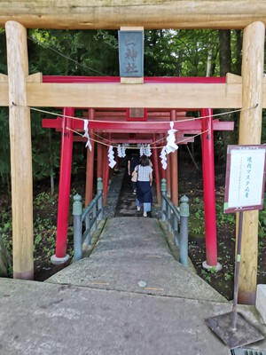管釣りとリールいじりの日記:富士の(神玉)ドラゴンボール集め