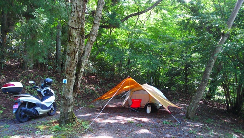 いつもと違う道志の風景
