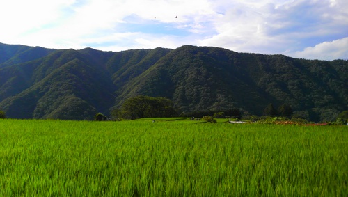いつもと違う道志の風景