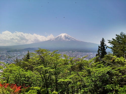 週末ですね。