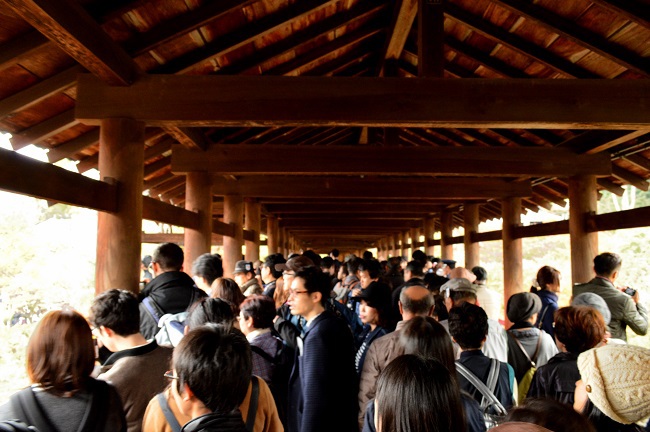 東福寺　紅葉