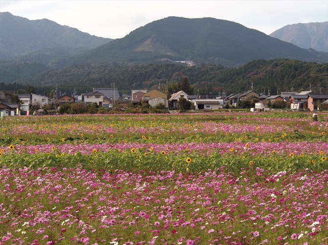 またも近場をブラブラ