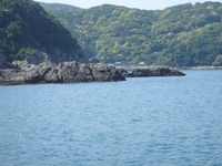 5月2日　中紀地磯