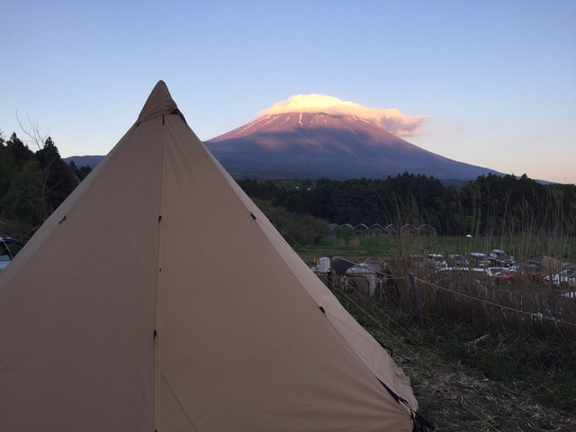 記録始めました