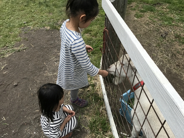 おいしいキャンプ場 2日目