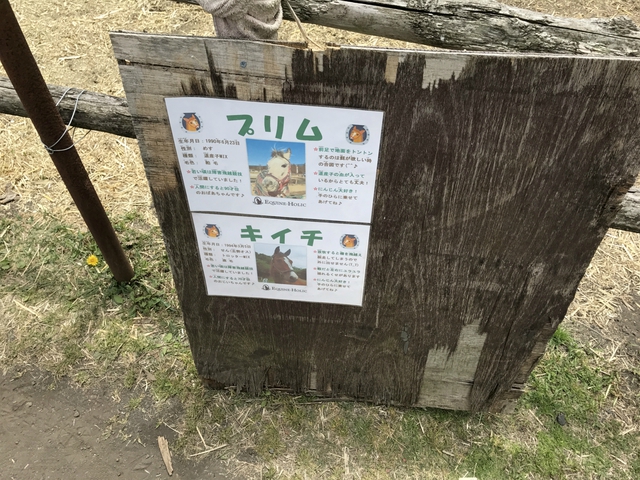 おいしいキャンプ場 2日目