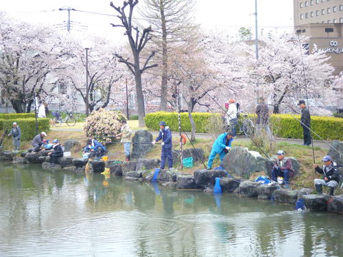 マス釣り開催しました