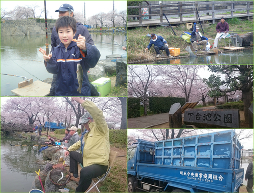 マス釣り開催：深谷市 下台池