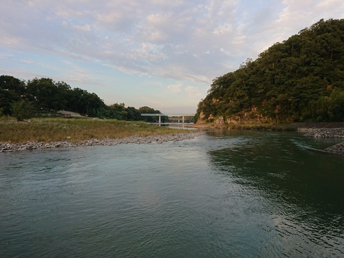 現在の河川状況（荒川玉淀）