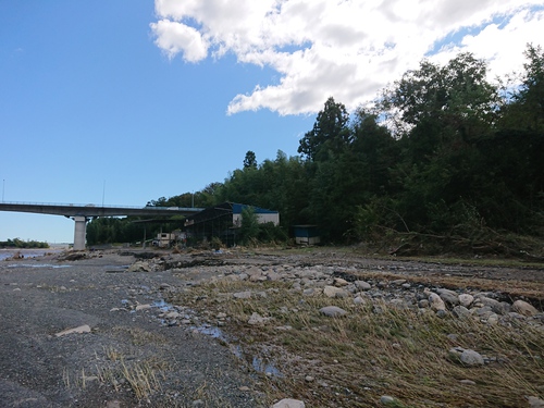 現在の河川状況（荒川玉淀）