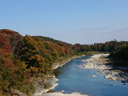 現在の河川状況（荒川玉淀）
