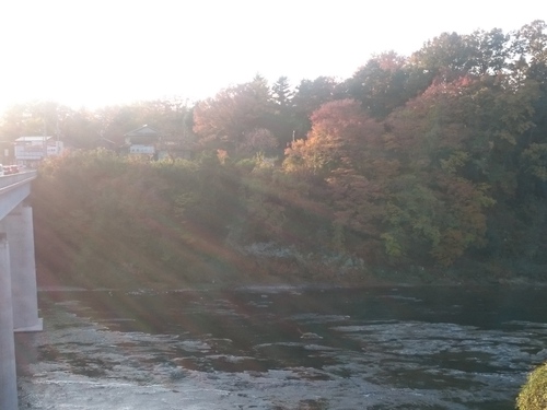 今朝の荒川：寄居