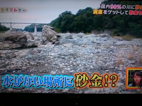 玉淀でゴールドラッシュ