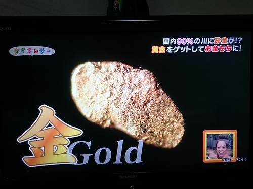 玉淀でゴールドラッシュ