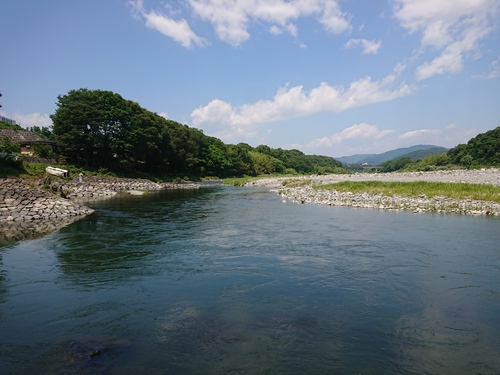 鮎 解禁3日前（荒川玉淀）