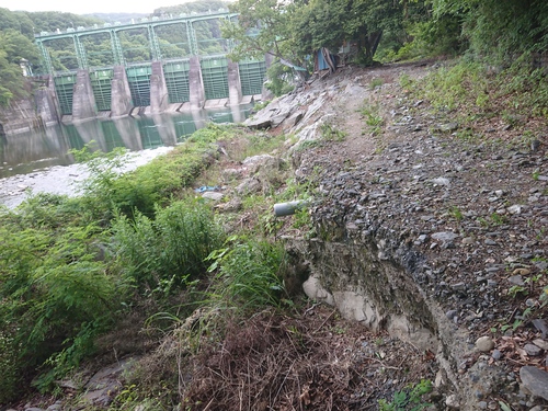 鮎 解禁前情報（荒川玉淀）