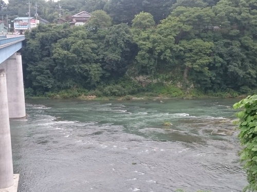 現在の河川状況（荒川玉淀）