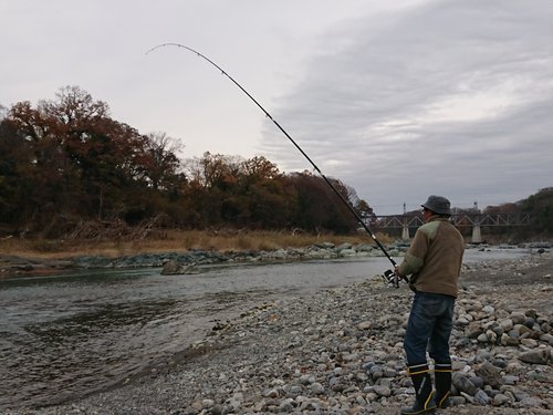 現在の河川状況（荒川玉淀）