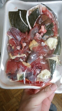 すっぽんを〆て食べること