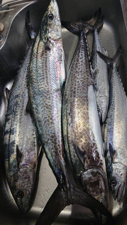 雨な秋に呆れるほど飽き飽き