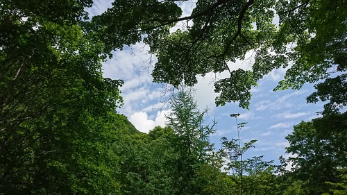 わらび平森林公園キャンプ場（2017年11泊目）