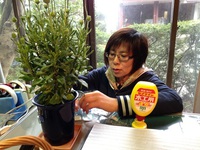 【市野さん工作♪♪】 2015/02/27 10:19:00