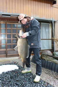 【水月湖で獲れた、大鯉の解体ショー!!!!】 2015/02/18 18:52:37