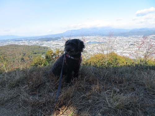 茶臼山散歩！