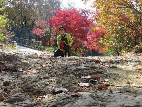 キャンと吾妻山散歩！